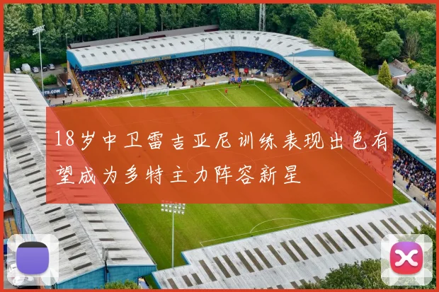 18岁中卫雷吉亚尼训练表现出色有望成为多特主力阵容新星
