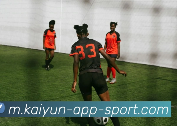 开云体育平台生态图