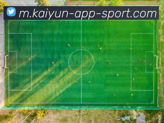 开云体育APP 封面图