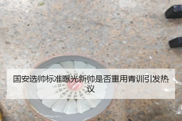 国安选帅标准曝光新帅是否重用青训引发热议 - kaiyun